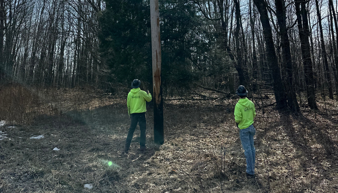 Technician assessing a utility pole for power lines and electrical safety hazards before climbing