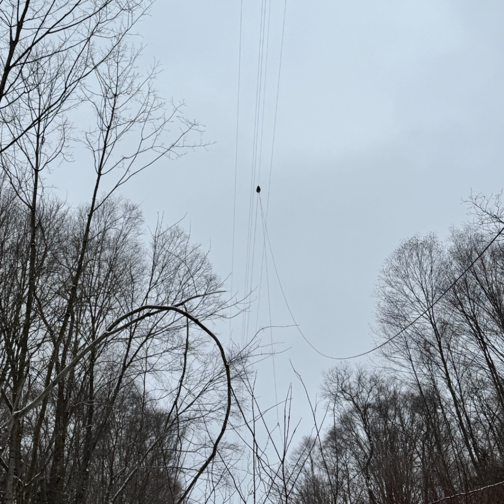 Aerial fiber optic cables, representing high-speed communication infrastructure