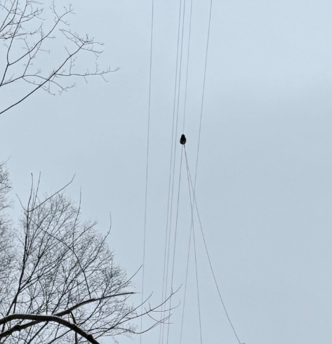 Aerial fiber installation with overhead lines on utility poles for fast telecom deployment.